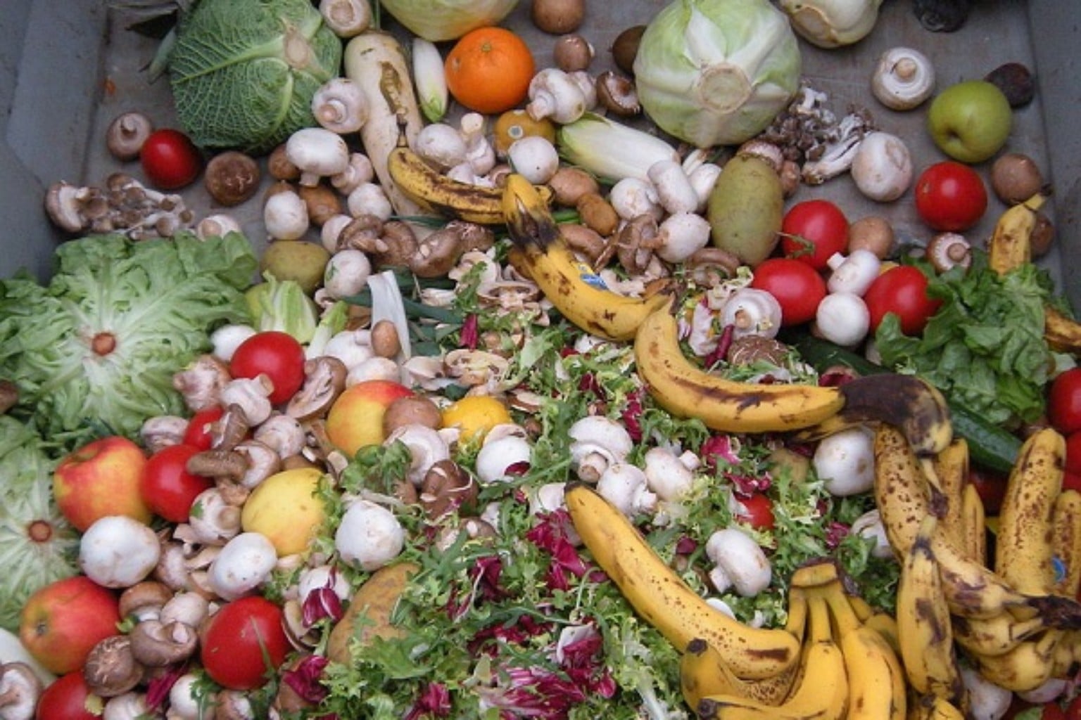 Reduzir Desperdício De Alimentos Pode Reduzir Danos Ao Meio Ambiente E Aumentar Segurança 5449