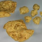 Fonte: Elke Wetzig via Wikimedia Commons