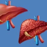 Fonte: Freepik com adaptações